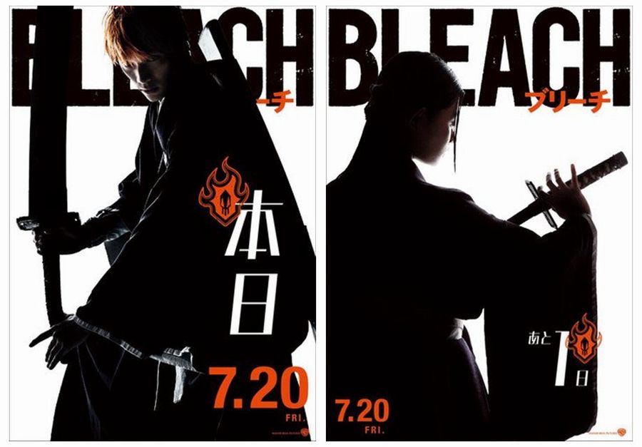 bleach poster ichigo rukia.JPG